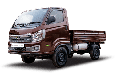 Tata Intra V20 Gold